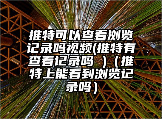 推特可以查看浏览记录吗视频(推特有查看记录吗 )（推特上能看到浏览记录吗）