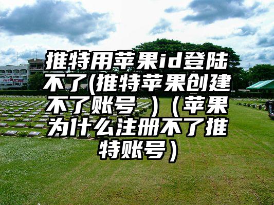 推特用苹果id登陆不了(推特苹果创建不了账号 )(苹果为什么注册不了推特账号)