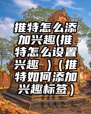 推特怎么添加兴趣(推特怎么设置兴趣 )（推特如何添加兴趣标签）