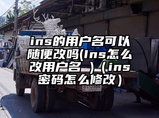 ins的用户名可以随便改吗(Ins怎么改用户名 )（ins密码怎么修改）