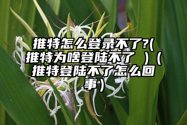 推特怎么登录不了?(推特为啥登陆不了 )（推特登陆不了怎么回事）