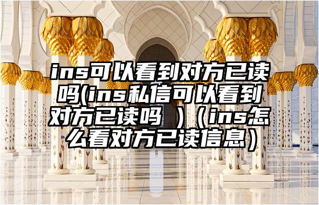 ins可以看到对方已读吗(ins私信可以看到对方已读吗 )（ins怎么看对方已读信息）