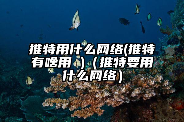 推特用什么网络(推特有啥用 )（推特要用什么网络）