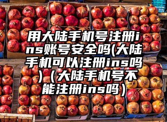 用大陆手机号注册ins账号安全吗(大陆手机可以注册ins吗 )（大陆手机号不能注册ins吗）