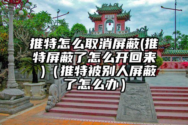 推特怎么取消屏蔽(推特屏蔽了怎么开回来 )（推特被别人屏蔽了怎么办）
