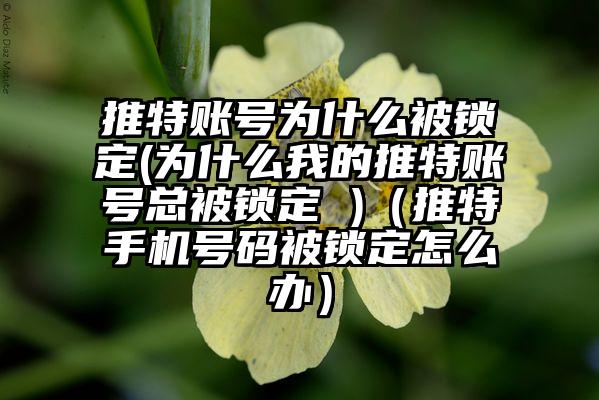 推特账号为什么被锁定(为什么我的推特账号总被锁定 )（推特手机号码被锁定怎么办）