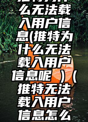 推特为什么无法载入用户信息(推特为什么无法载入用户信息呢 )（推特无法载入用户信息怎么办）