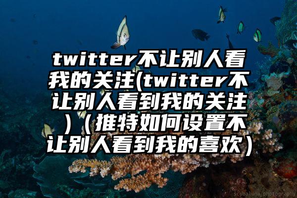 twitter不让别人看我的关注(twitter不让别人看到我的关注 )（推特如何设置不让别人看到我的喜欢）