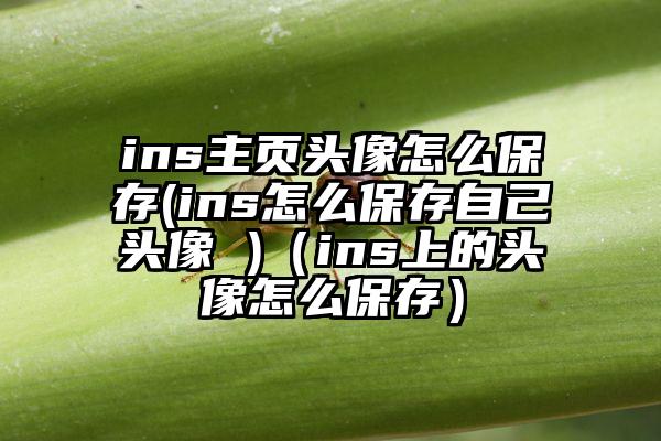 ins主页头像怎么保存(ins怎么保存自己头像 )（ins上的头像怎么保存）