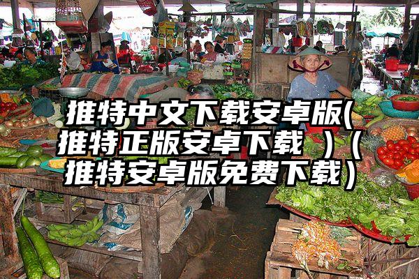 推特中文下载安卓版(推特正版安卓下载 )（推特安卓版免费下载）