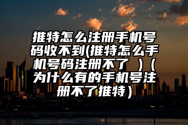 推特怎么注册手机号码收不到(推特怎么手机号码注册不了 )（为什么有的手机号注册不了推特）