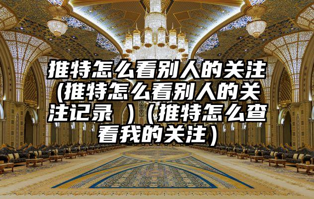 推特怎么看别人的关注(推特怎么看别人的关注记录 )（推特怎么查看我的关注）
