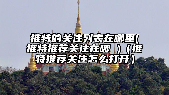 推特的关注列表在哪里(推特推荐关注在哪 )（推特推荐关注怎么打开）