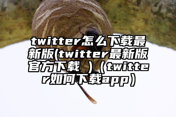 twitter怎么下载最新版(twitter最新版官方下载 )（twitter如何下载app）