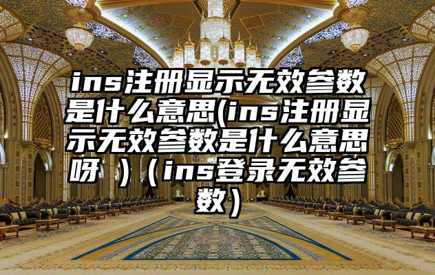 ins注册显示无效参数是什么意思(ins注册显示无效参数是什么意思呀 )（ins登录无效参数）