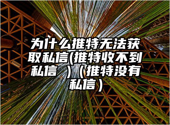 为什么推特无法获取私信(推特收不到私信 )（推特没有私信）