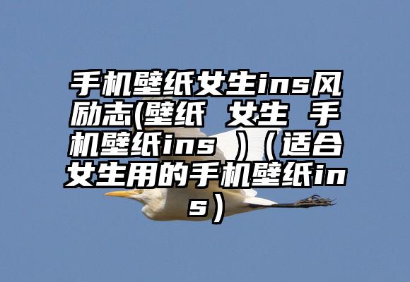 手机壁纸女生ins风励志(壁纸 女生 手机壁纸ins )（适合女生用的手机壁纸ins）