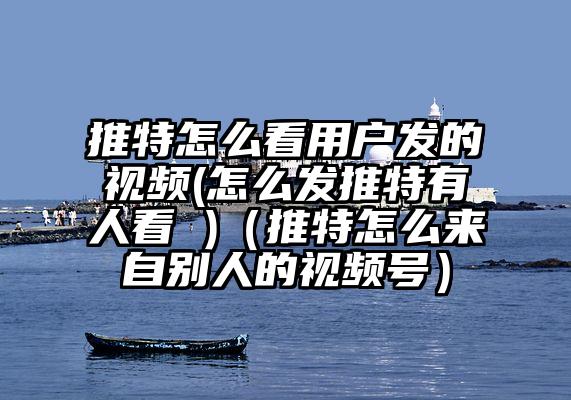 推特怎么看用户发的视频(怎么发推特有人看 )（推特怎么来自别人的视频号）