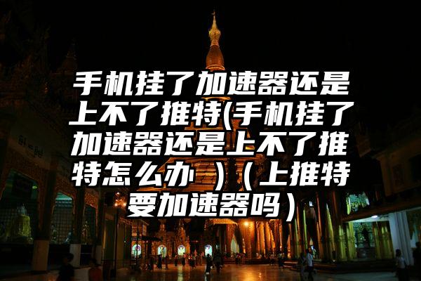 手机挂了加速器还是上不了推特(手机挂了加速器还是上不了推特怎么办 )（上推特要加速器吗）