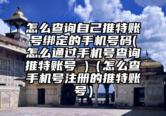 怎么查询自己推特账号绑定的手机号码(怎么通过手机号查询推特账号 )（怎么查手机号注册的推特账号）
