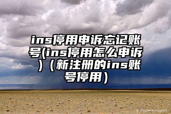 ins停用申诉忘记账号(ins停用怎么申诉 )（新注册的ins账号停用）