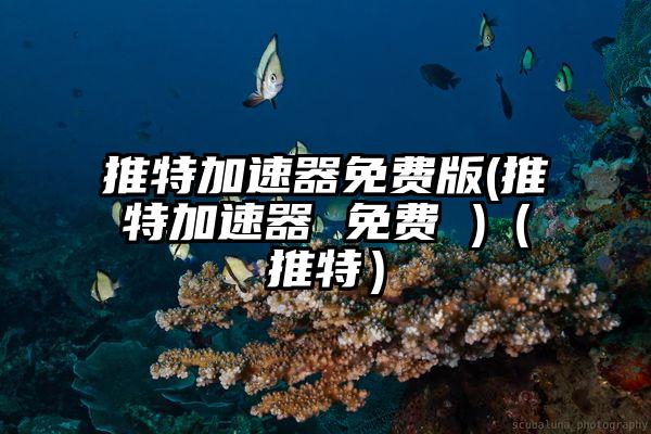 推特加速器免费版(推特加速器 免费 )（推特）