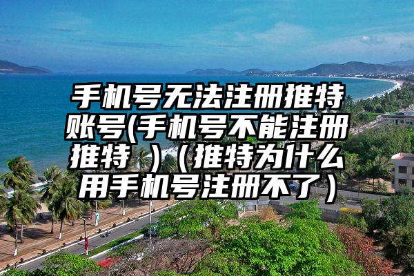 手机号无法注册推特账号(手机号不能注册推特 )(推特为什么用手机号注册不了)