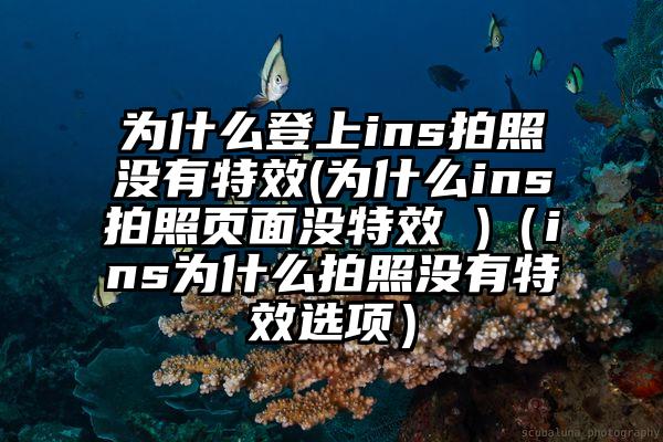 为什么登上ins拍照没有特效(为什么ins拍照页面没特效 )（ins为什么拍照没有特效选项）