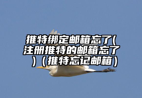 推特绑定邮箱忘了(注册推特的邮箱忘了 )（推特忘记邮箱）