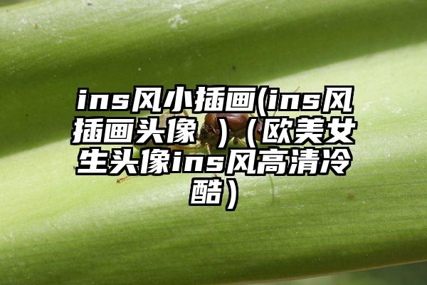 ins风小插画(ins风插画头像 )（欧美女生头像ins风高清冷酷）