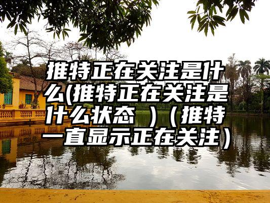 推特正在关注是什么(推特正在关注是什么状态 )（推特一直显示正在关注）