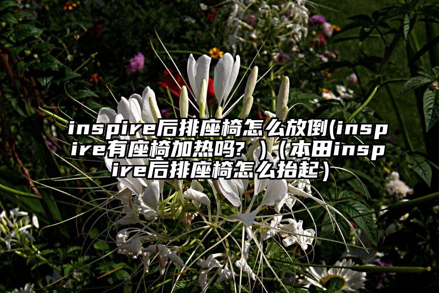 inspire后排座椅怎么放倒(inspire有座椅加热吗? )（本田inspire后排座椅怎么抬起）