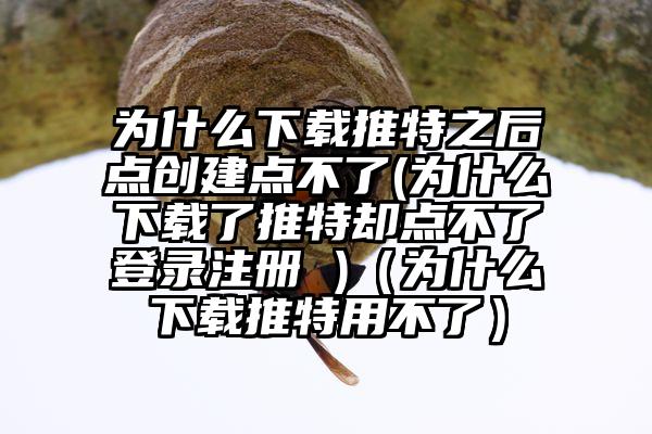 为什么下载推特之后点创建点不了(为什么下载了推特却点不了登录注册 )（为什么下载推特用不了）