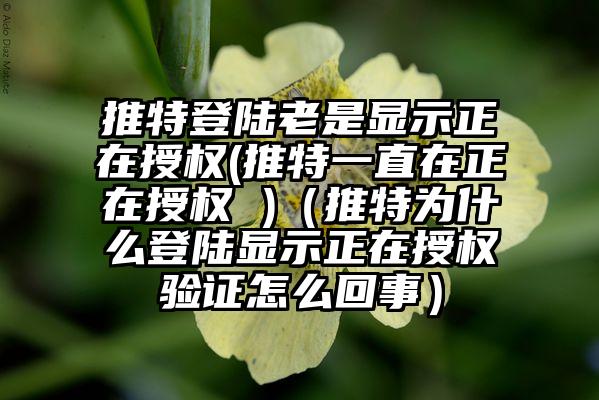 推特登陆老是显示正在授权(推特一直在正在授权 )（推特为什么登陆显示正在授权验证怎么回事）
