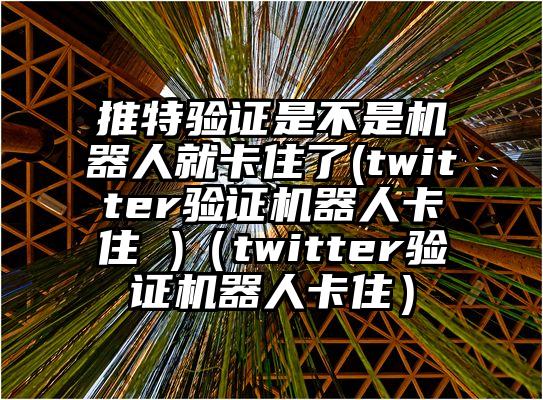 推特验证是不是机器人就卡住了(twitter验证机器人卡住 )（twitter验证机器人卡住）