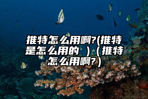 推特怎么用啊?(推特是怎么用的 )（推特怎么用啊?）