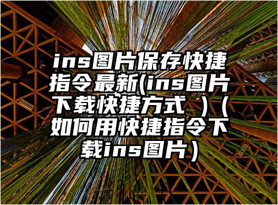 ins图片保存快捷指令最新(ins图片下载快捷方式 )（如何用快捷指令下载ins图片）