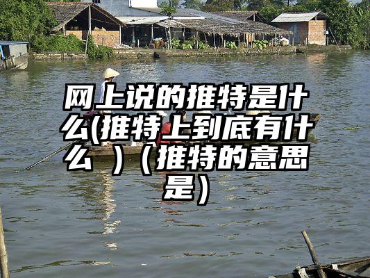 网上说的推特是什么(推特上到底有什么 )（推特的意思是）