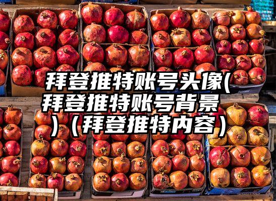拜登推特账号头像(拜登推特账号背景 )（拜登推特内容）