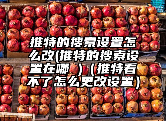 推特的搜索设置怎么改(推特的搜索设置在哪 )（推特看不了怎么更改设置）