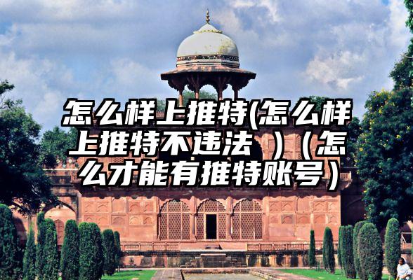 怎么样上推特(怎么样上推特不违法 )(怎么才能有推特账号)