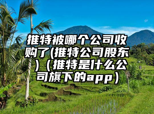 推特被哪个公司收购了(推特公司股东 )（推特是什么公司旗下的app）