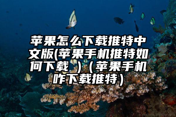 苹果怎么下载推特中文版(苹果手机推特如何下载 )（苹果手机咋下载推特）