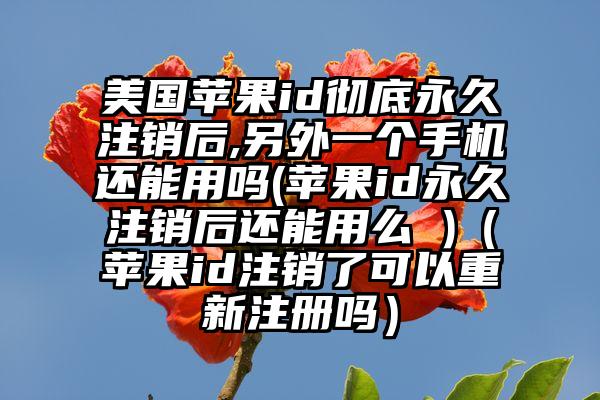 美国苹果id彻底永久注销后,另外一个手机还能用吗(苹果id永久注销后还能用么 )（苹果id注销了可以重新注册吗）