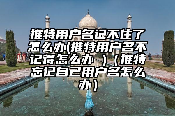 推特用户名记不住了怎么办(推特用户名不记得怎么办 )（推特忘记自己用户名怎么办）