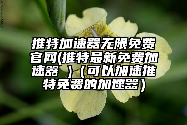 推特加速器无限免费官网(推特最新免费加速器 )（可以加速推特免费的加速器）