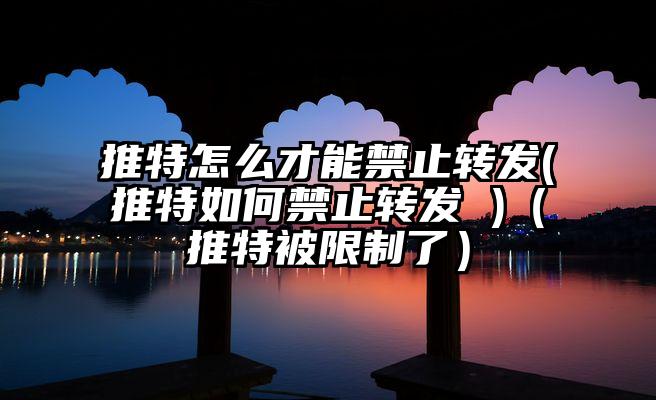 推特怎么才能禁止转发(推特如何禁止转发 )（推特被限制了）