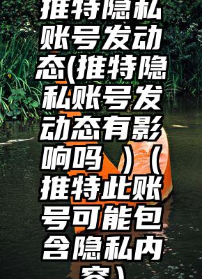 推特隐私账号发动态(推特隐私账号发动态有影响吗 )（推特此账号可能包含隐私内容）