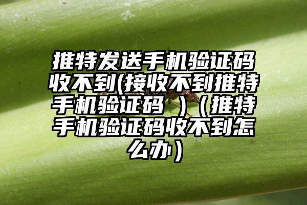推特发送手机验证码收不到(接收不到推特手机验证码 )（推特手机验证码收不到怎么办）