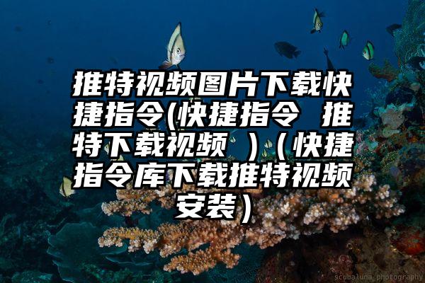 推特视频图片下载快捷指令(快捷指令 推特下载视频 )（快捷指令库下载推特视频安装）